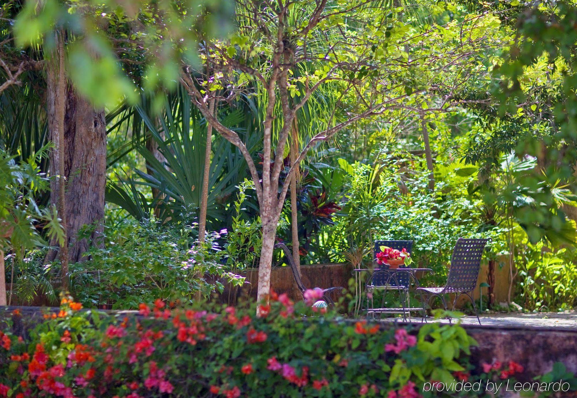 Hotel Hacienda Santa Rosa De Lima Extérieur photo